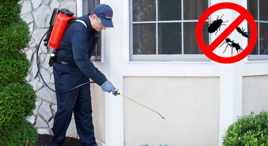 Amasra Haşere İlaçlama böcek ilaçlama ve haşere kontrolü — ilaclama-tr.com